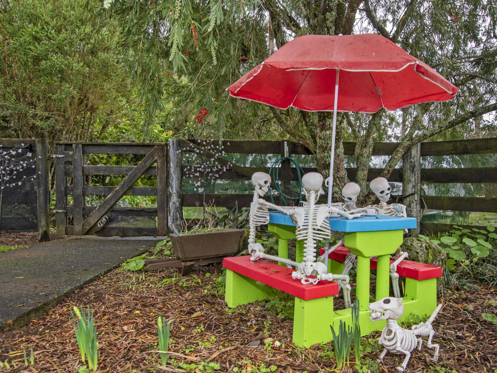 241 Whatitiri Road, Maungatapere