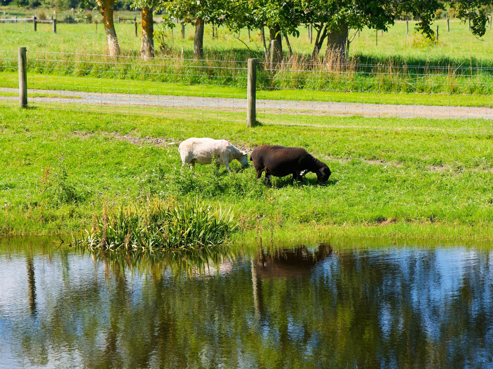 152 Postmans Road, Kaikoura