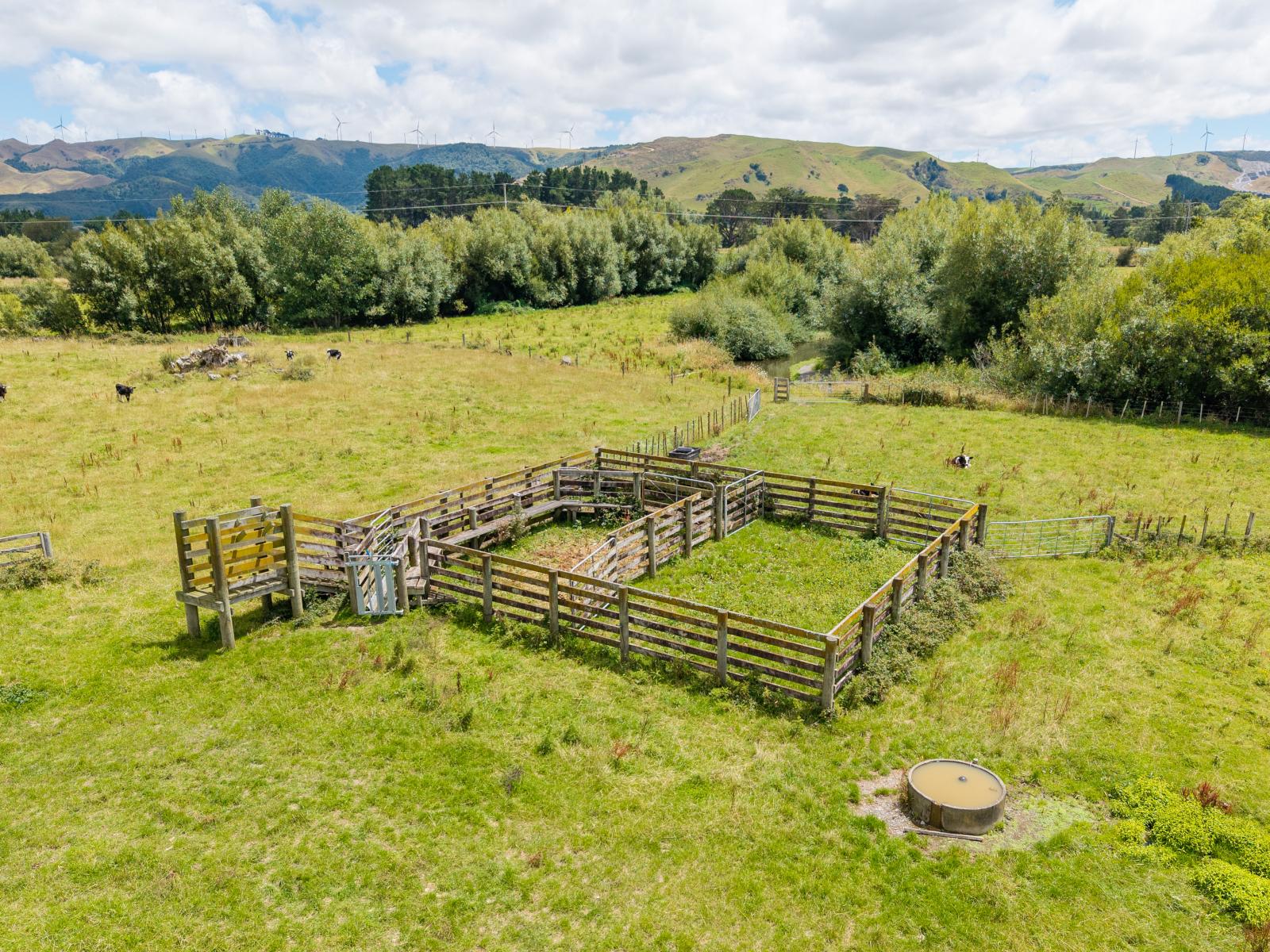 Broomfield Road, Woodville