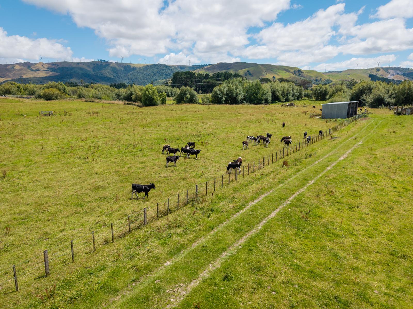 Broomfield Road, Woodville