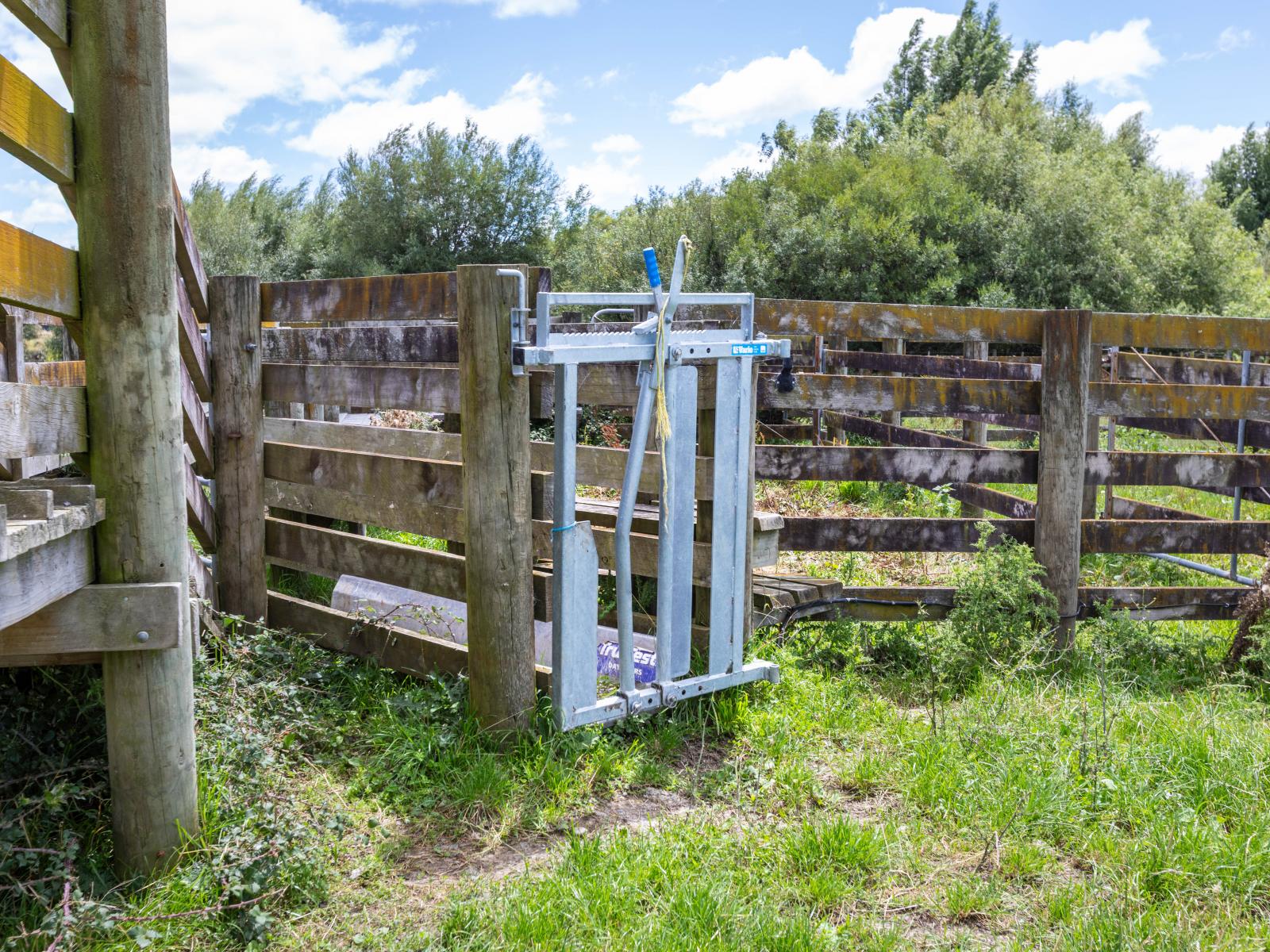 Broomfield Road, Woodville