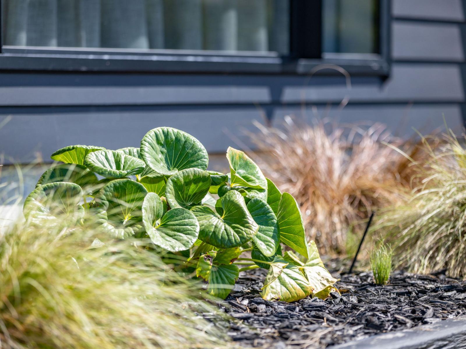 28 Pioneer Drive, Te Awamutu