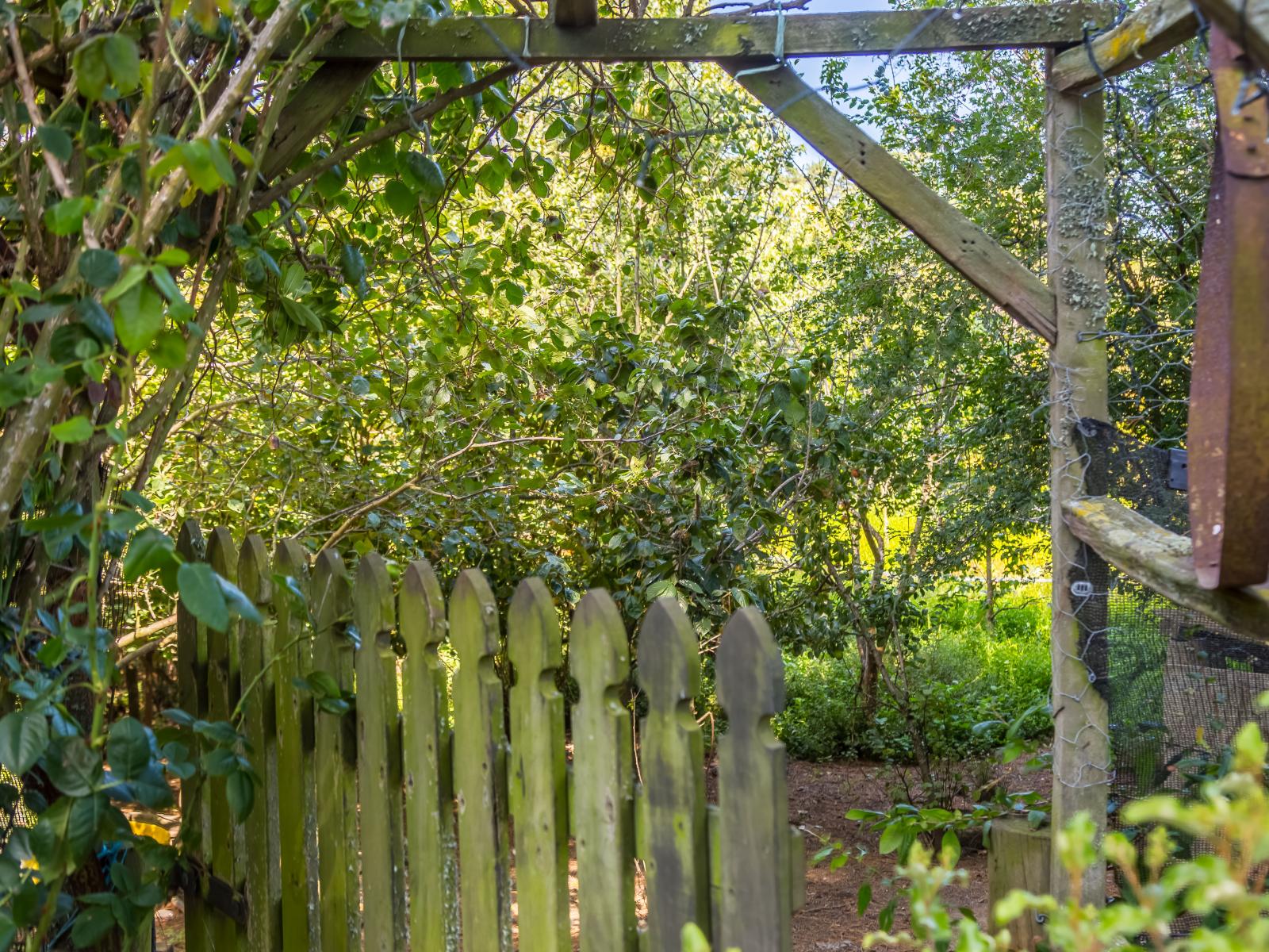 595 Wards Line, Greytown