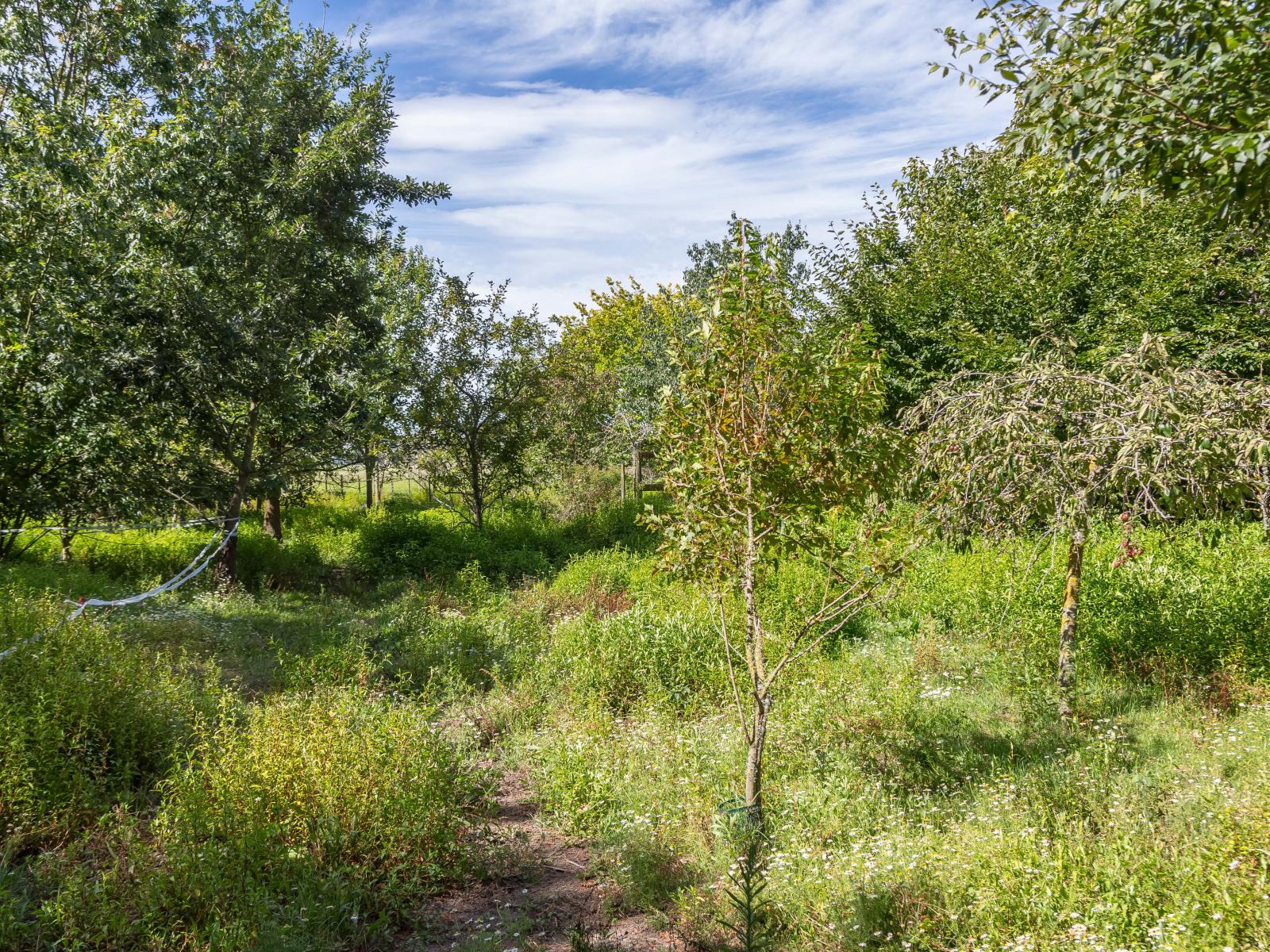 595 Wards Line, Greytown