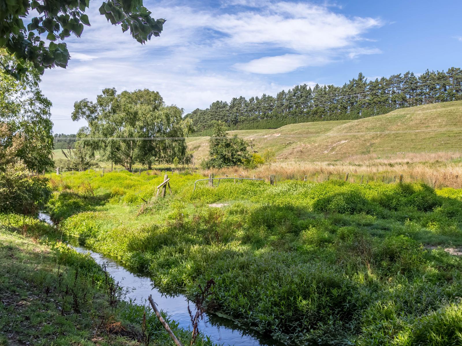 595 Wards Line, Greytown