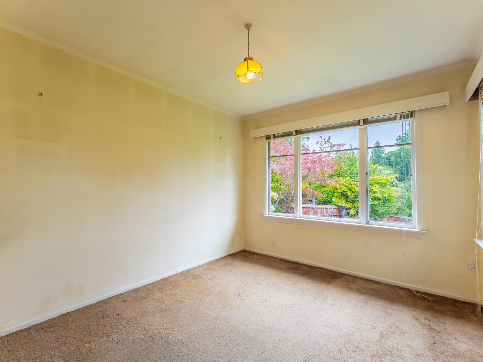 10A Park Lane, Highfield