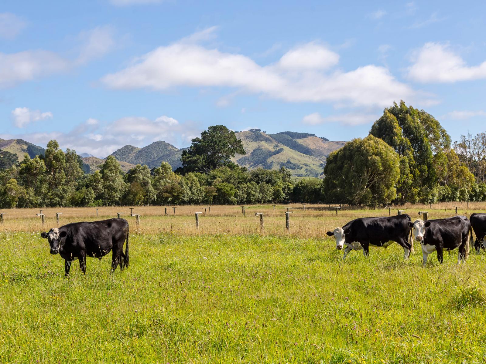 89 Hinau Gully Road, Carterton