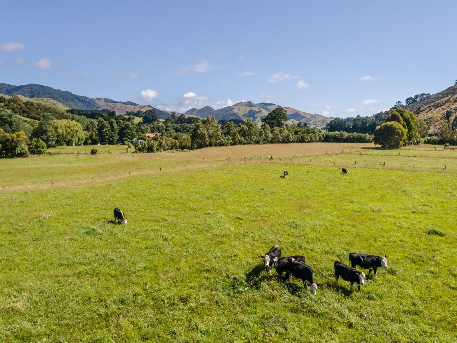 89 Hinau Gully Road, Carterton