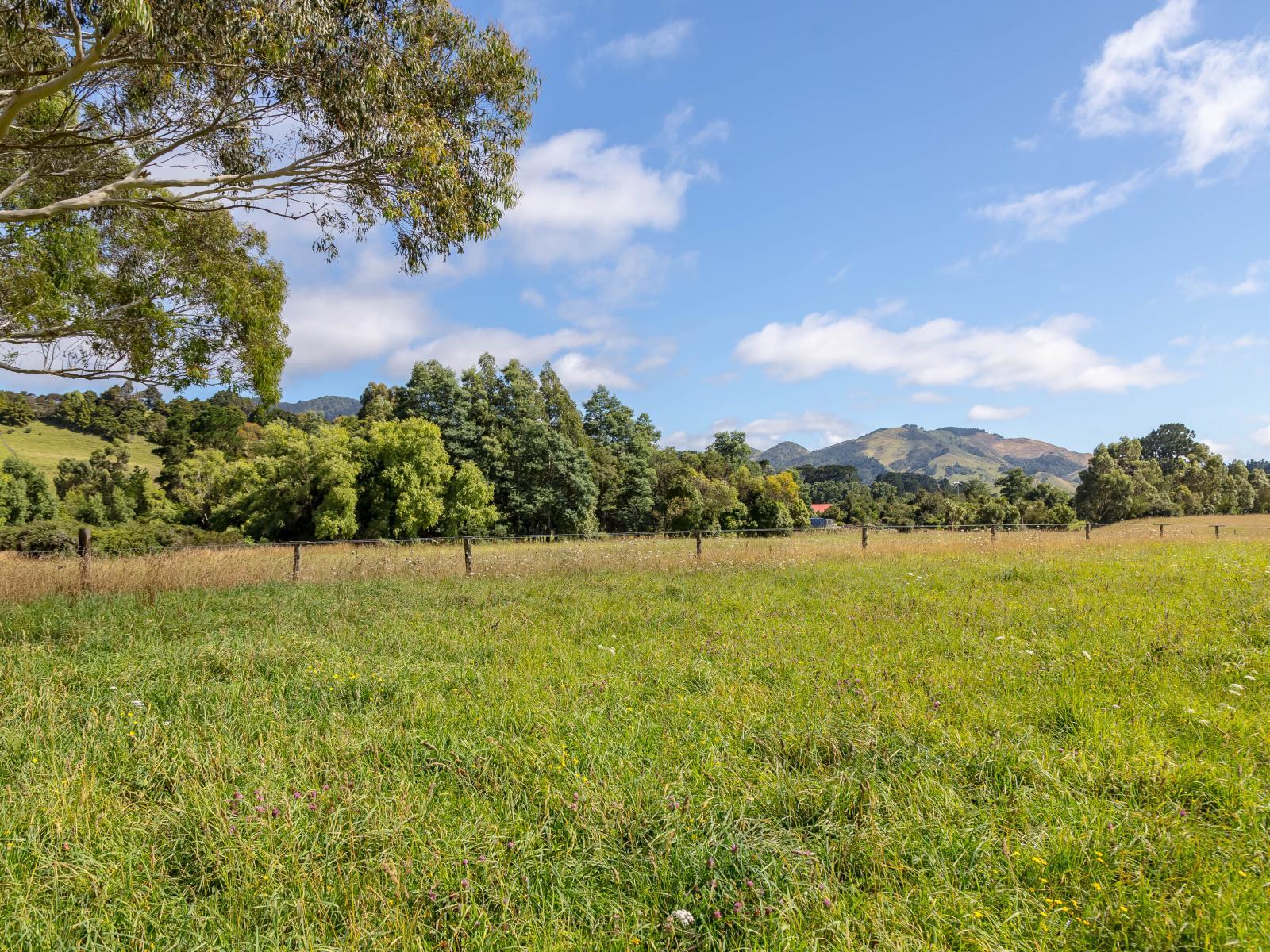 89 Hinau Gully Road, Carterton