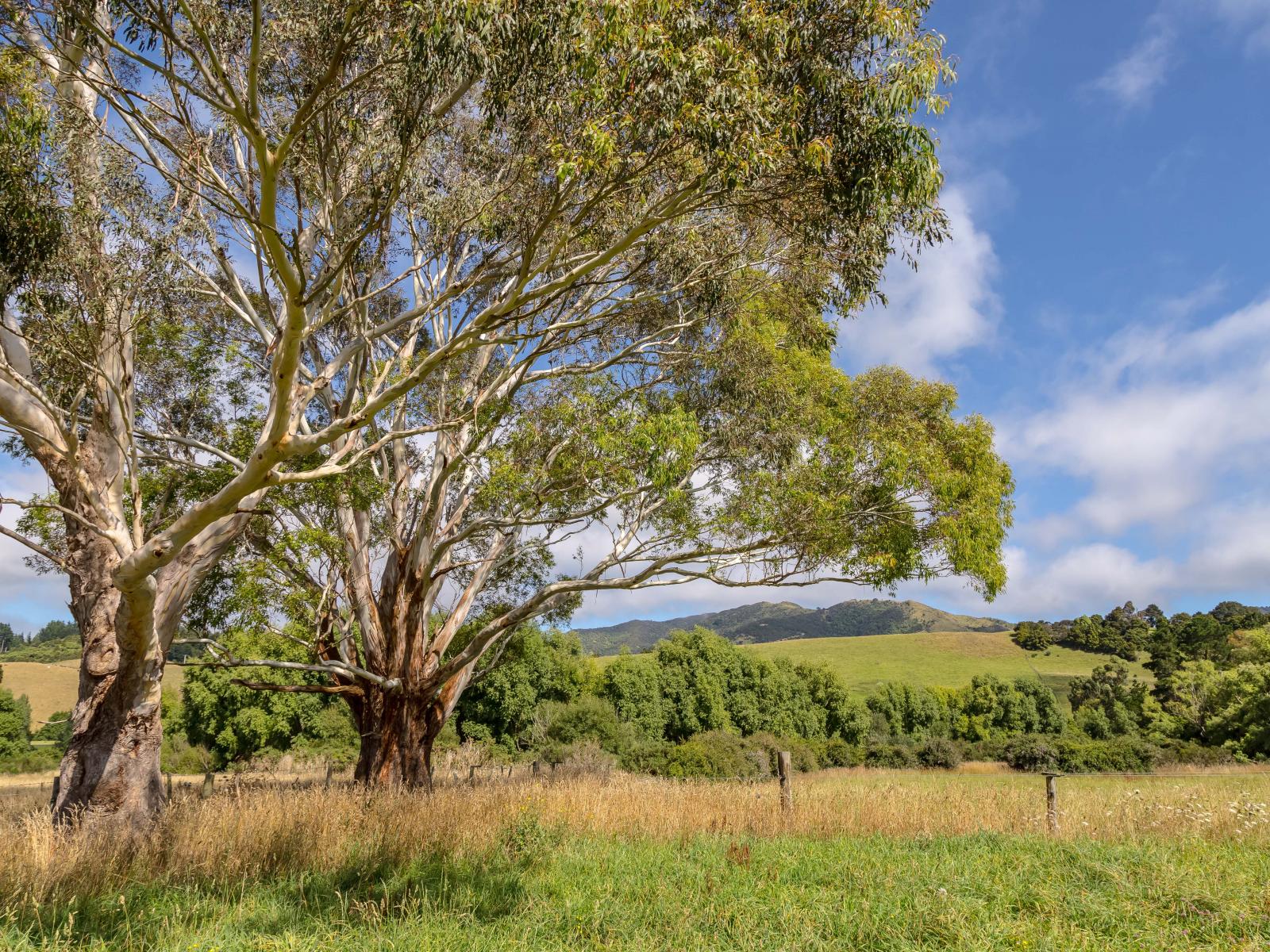 89 Hinau Gully Road, Carterton