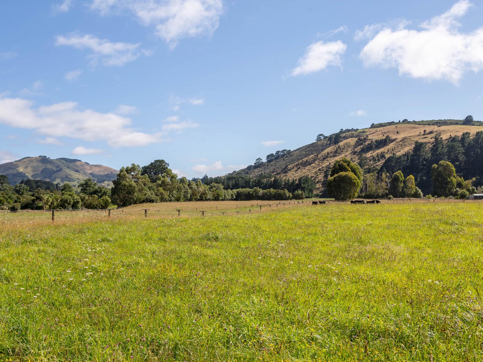 89 Hinau Gully Road, Carterton