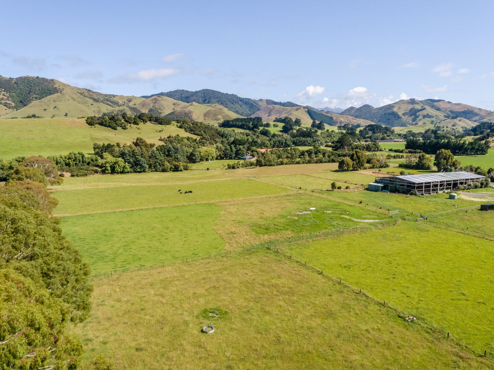 89 Hinau Gully Road, Carterton