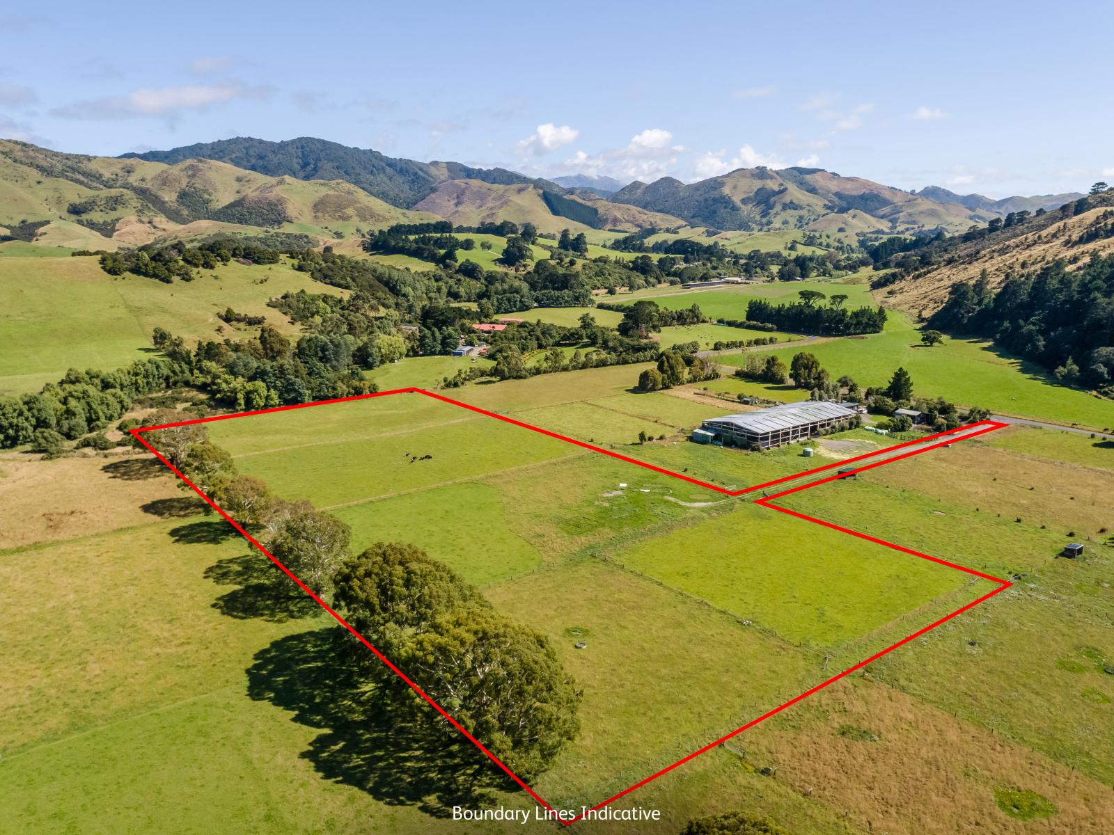 89 Hinau Gully Road, Carterton