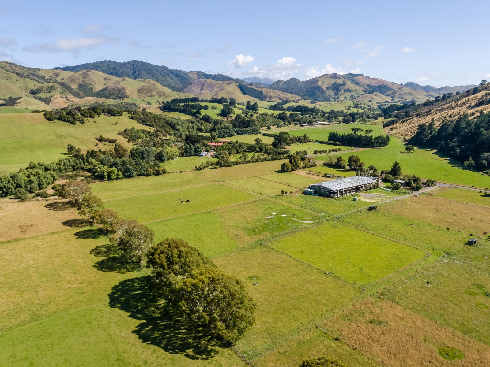 89 Hinau Gully Road, Carterton
