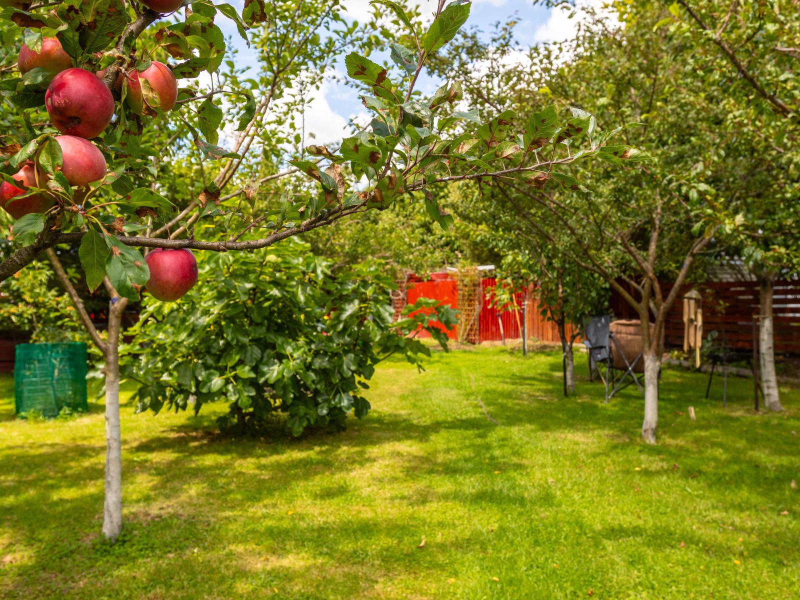 8 Stanly Street, Eketahuna