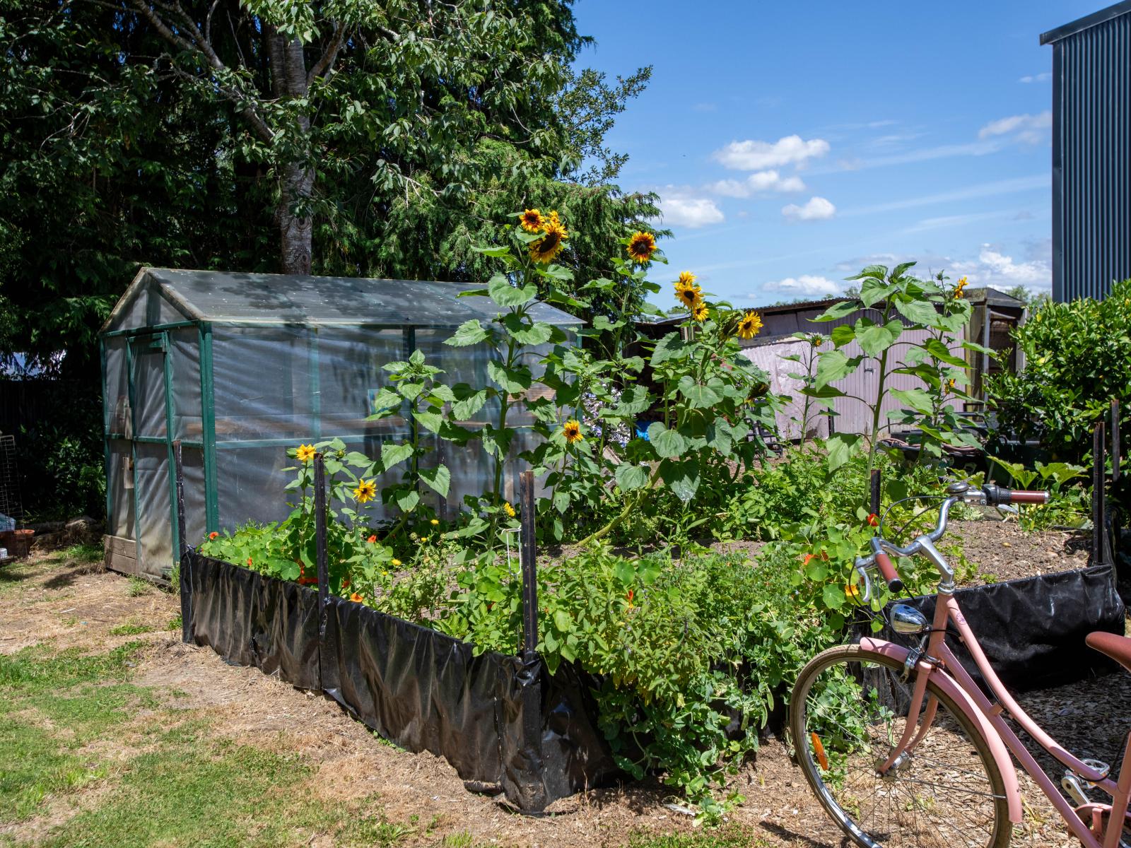 54 Alfredton Road, Eketahuna