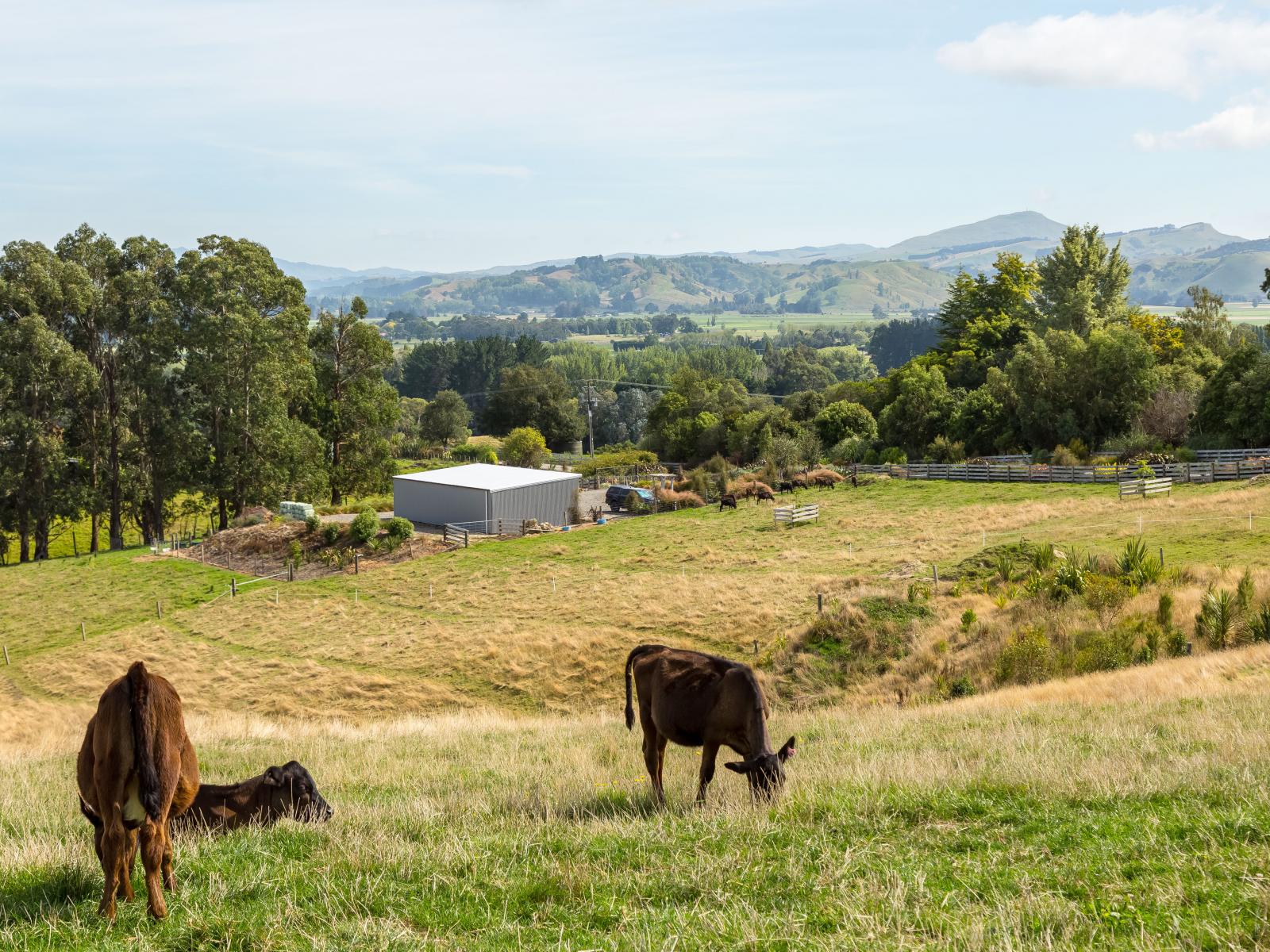 67A Lees Pakaraka Road, Masterton