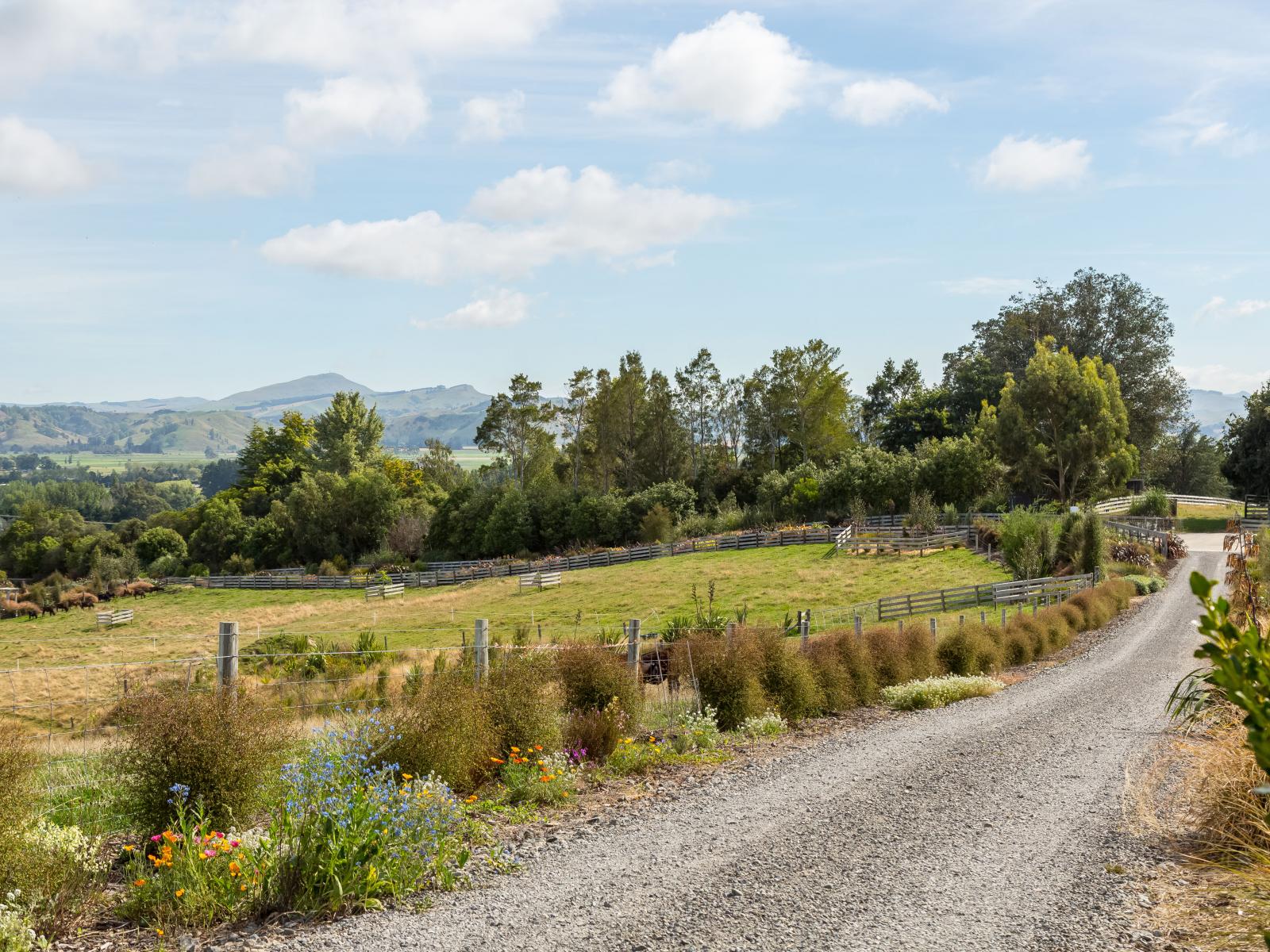 67A Lees Pakaraka Road, Masterton
