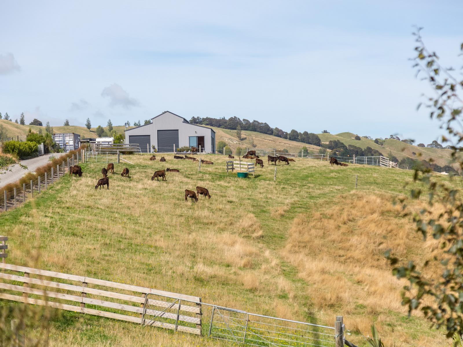 67A Lees Pakaraka Road, Masterton