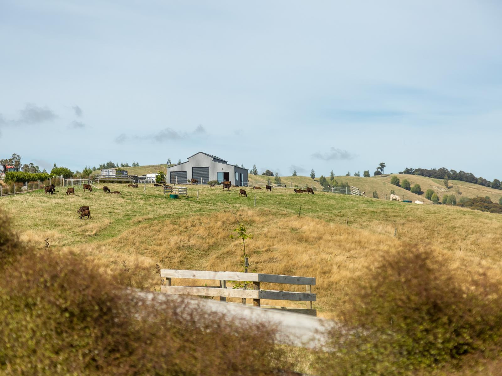 67A Lees Pakaraka Road, Masterton