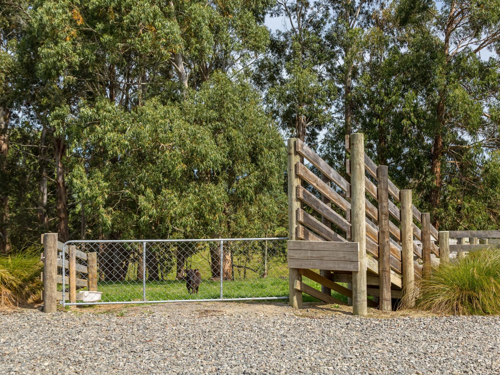 67A Lees Pakaraka Road, Masterton