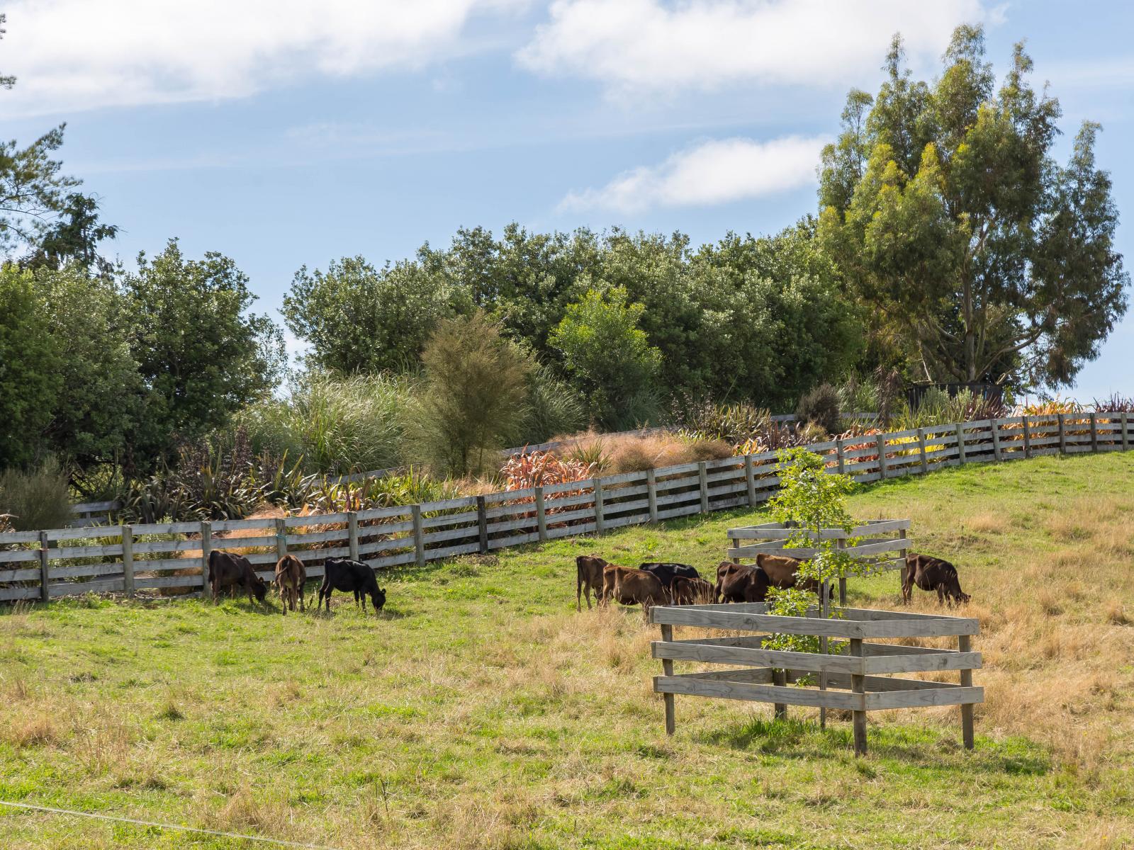 67A Lees Pakaraka Road, Masterton