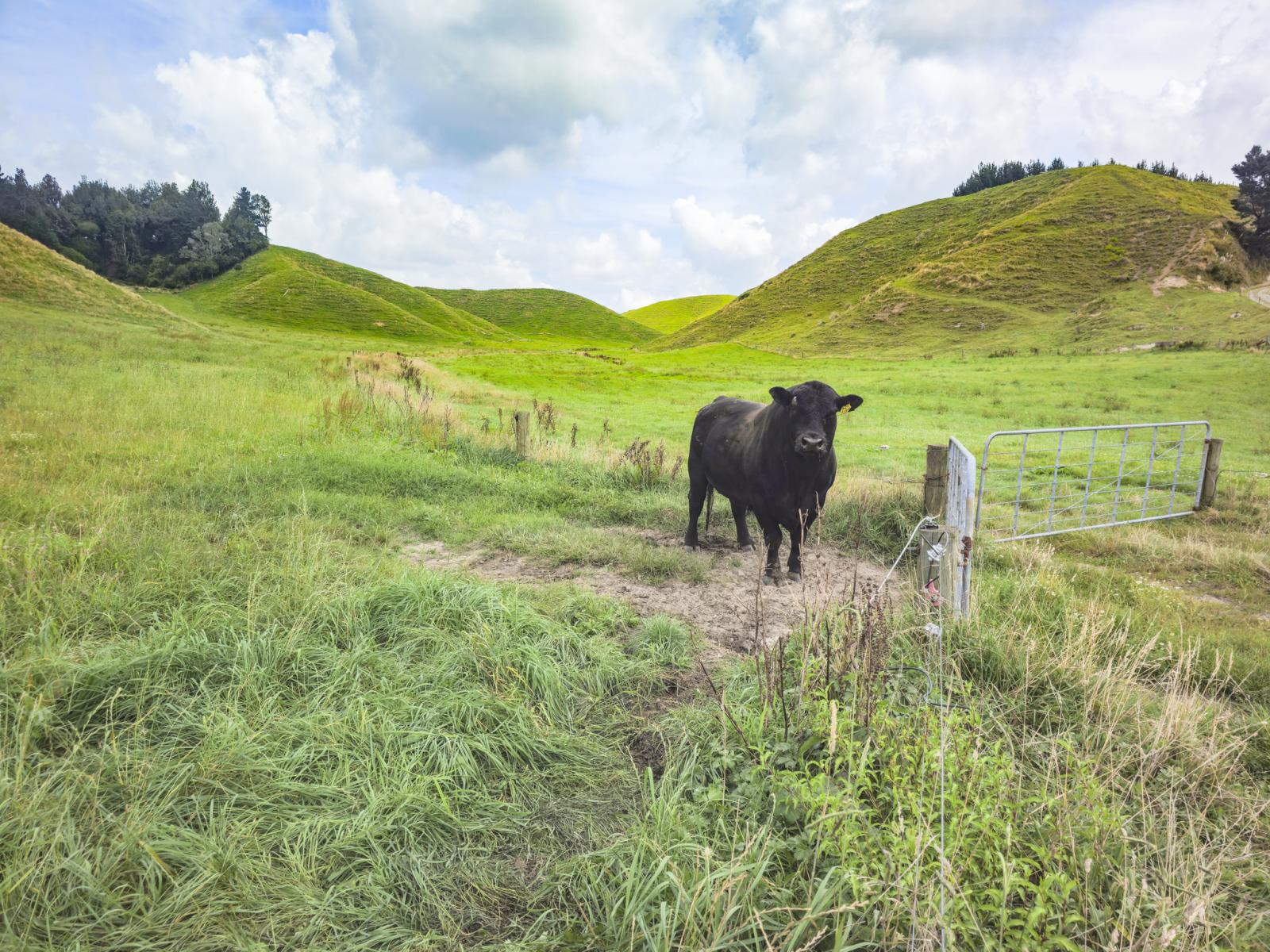 248 Lichenstein Road, Okere Falls