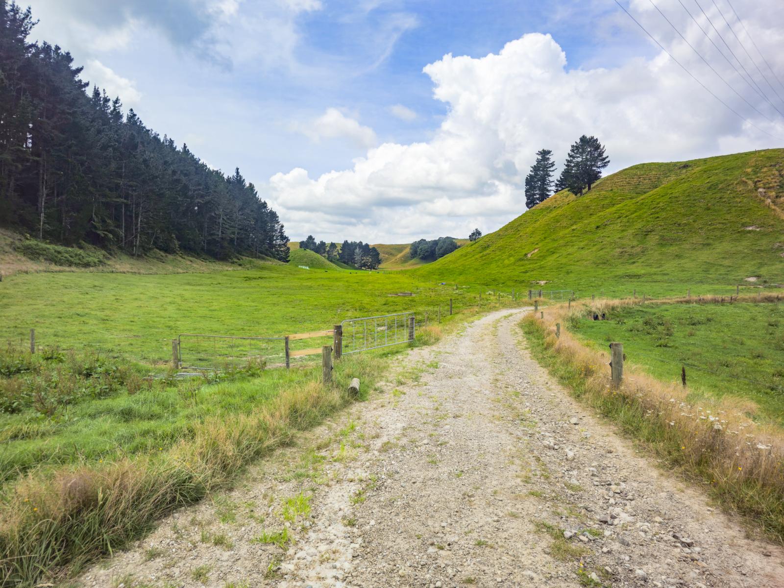 248 Lichenstein Road, Okere Falls