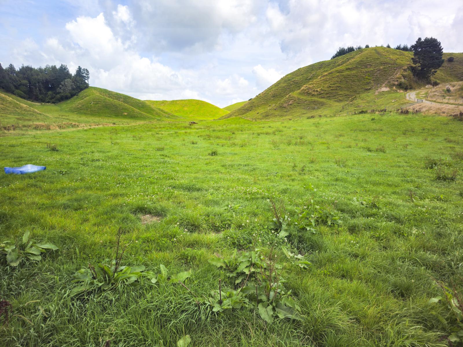 248 Lichenstein Road, Okere Falls