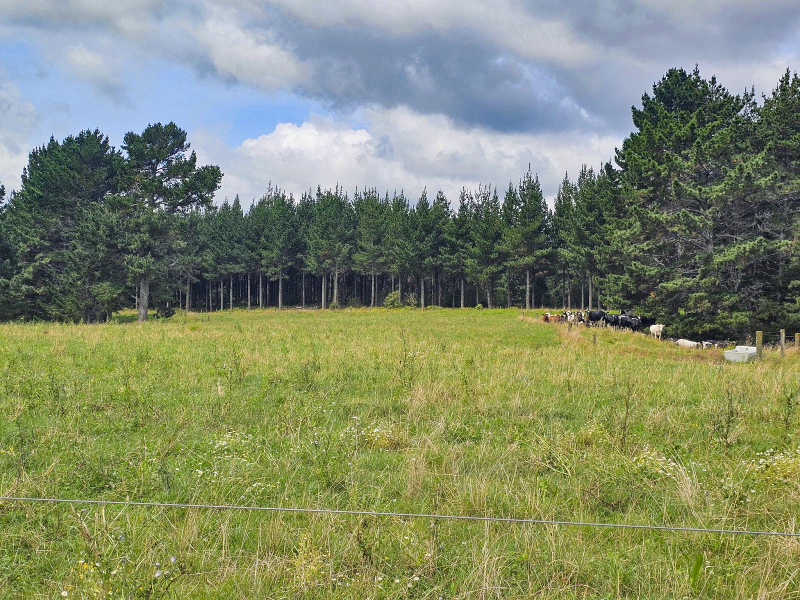 248 Lichenstein Road, Okere Falls