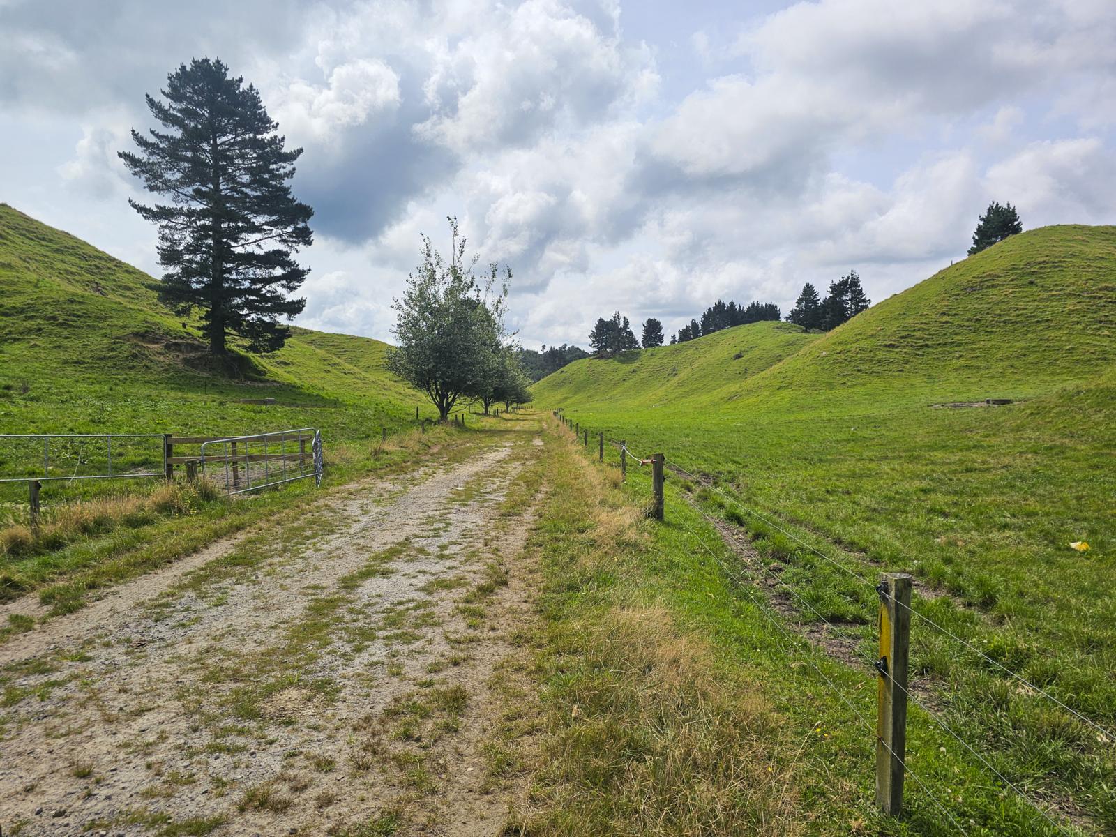 248 Lichenstein Road, Okere Falls