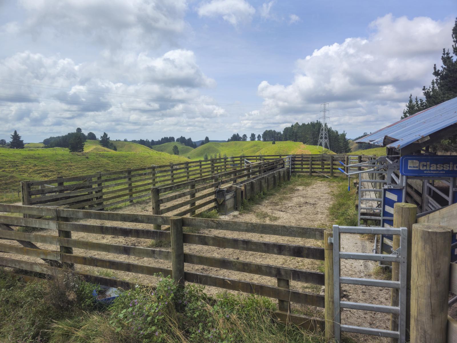 248 Lichenstein Road, Okere Falls