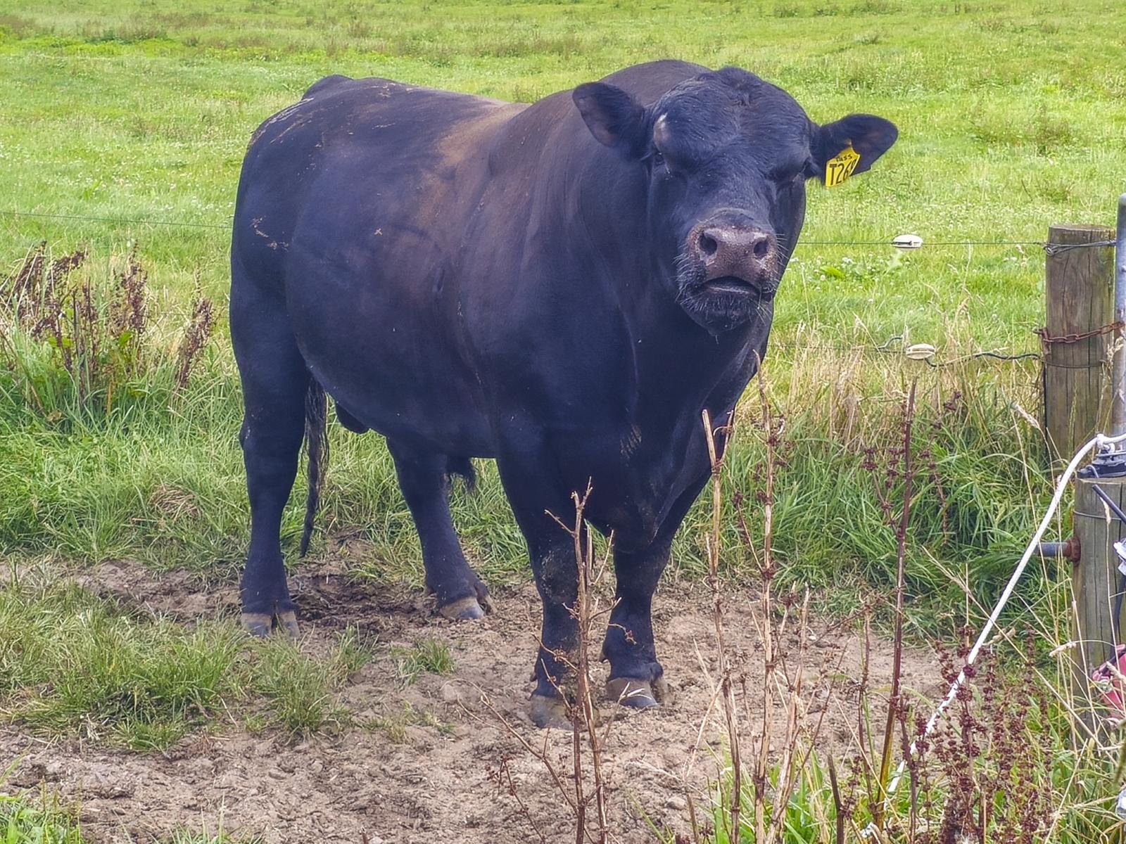 248 Lichenstein Road, Okere Falls