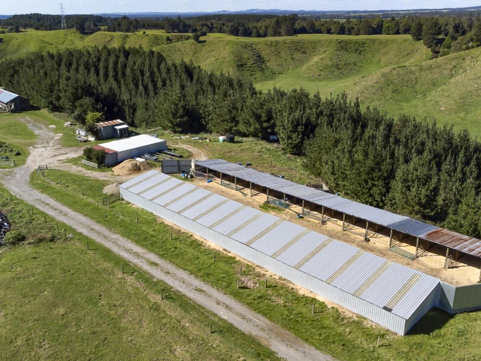 248 Lichenstein Road, Okere Falls