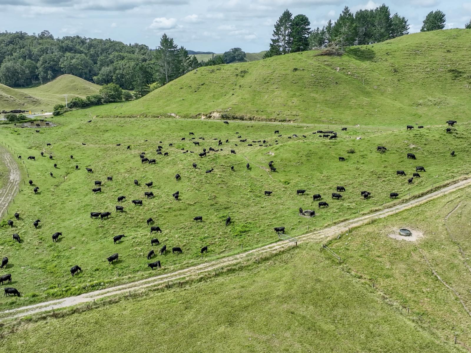 248 Lichenstein Road, Okere Falls