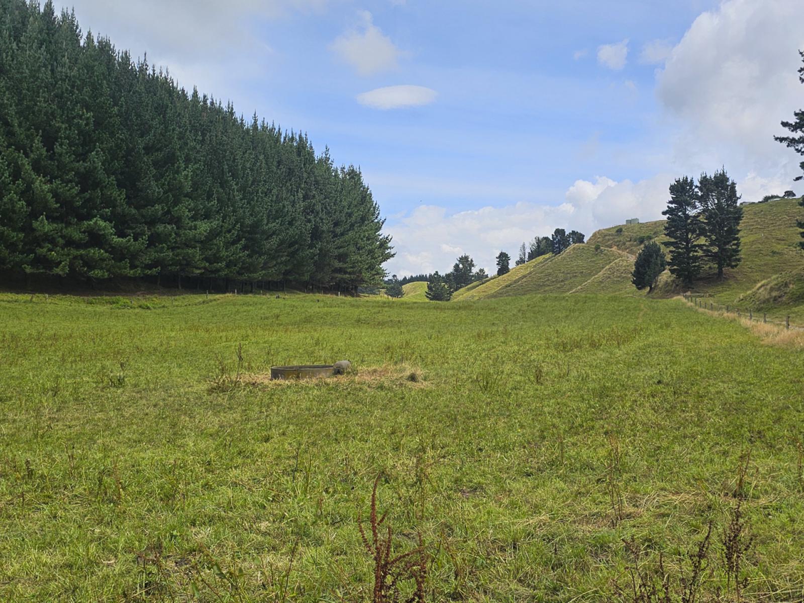 248 Lichenstein Road, Okere Falls