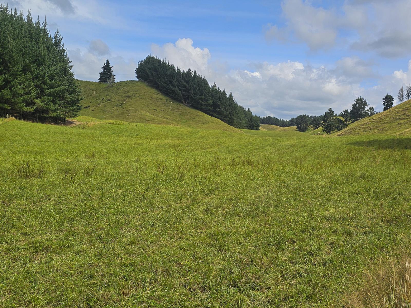 248 Lichenstein Road, Okere Falls