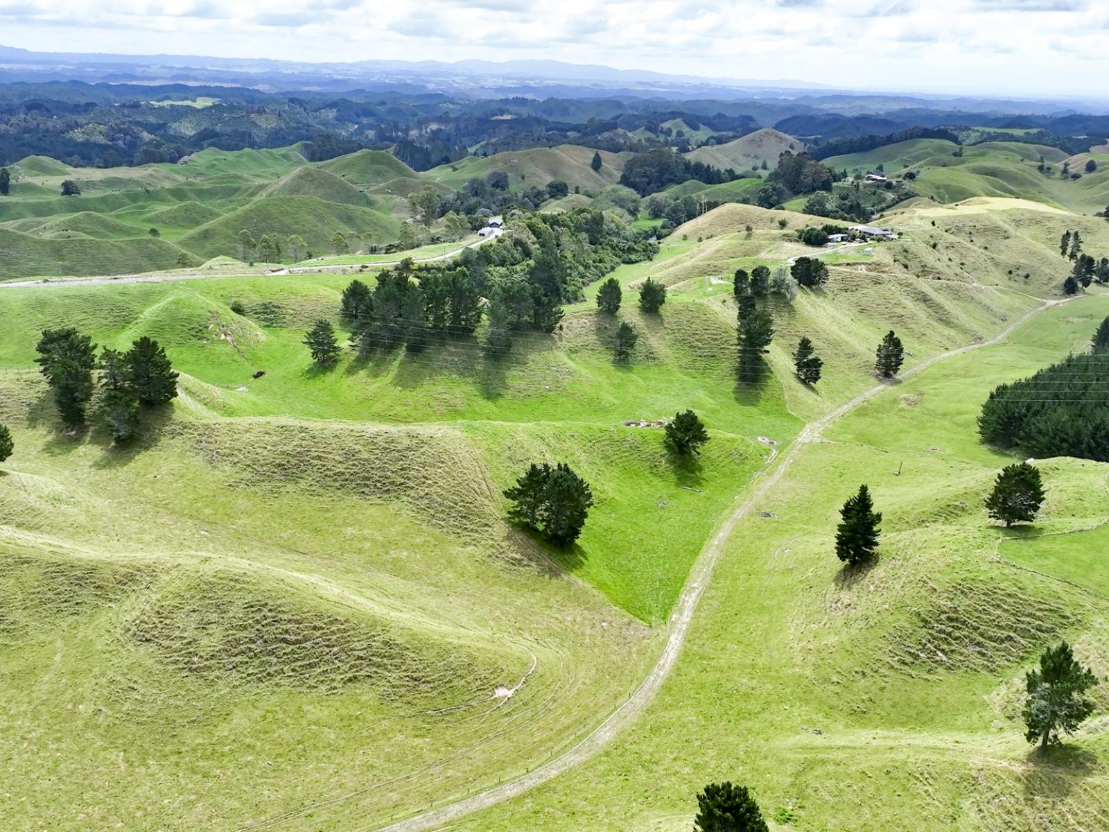 248 Lichenstein Road, Okere Falls