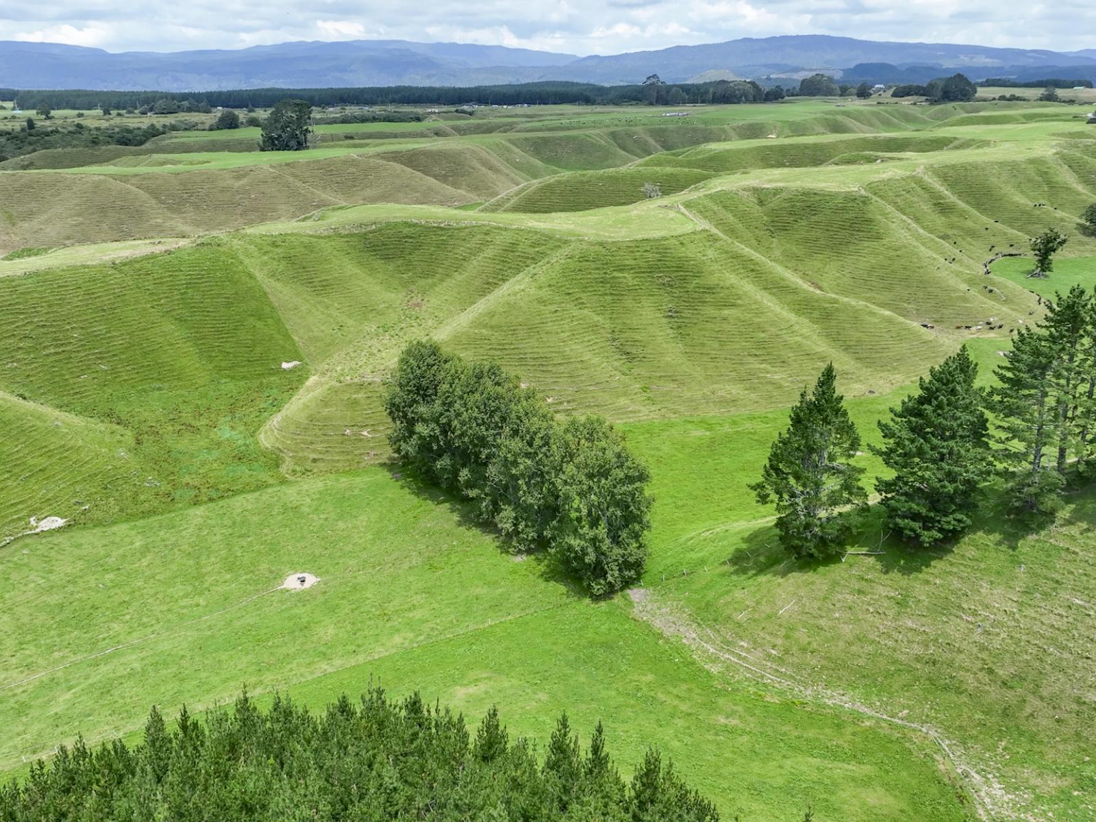 248 Lichenstein Road, Okere Falls