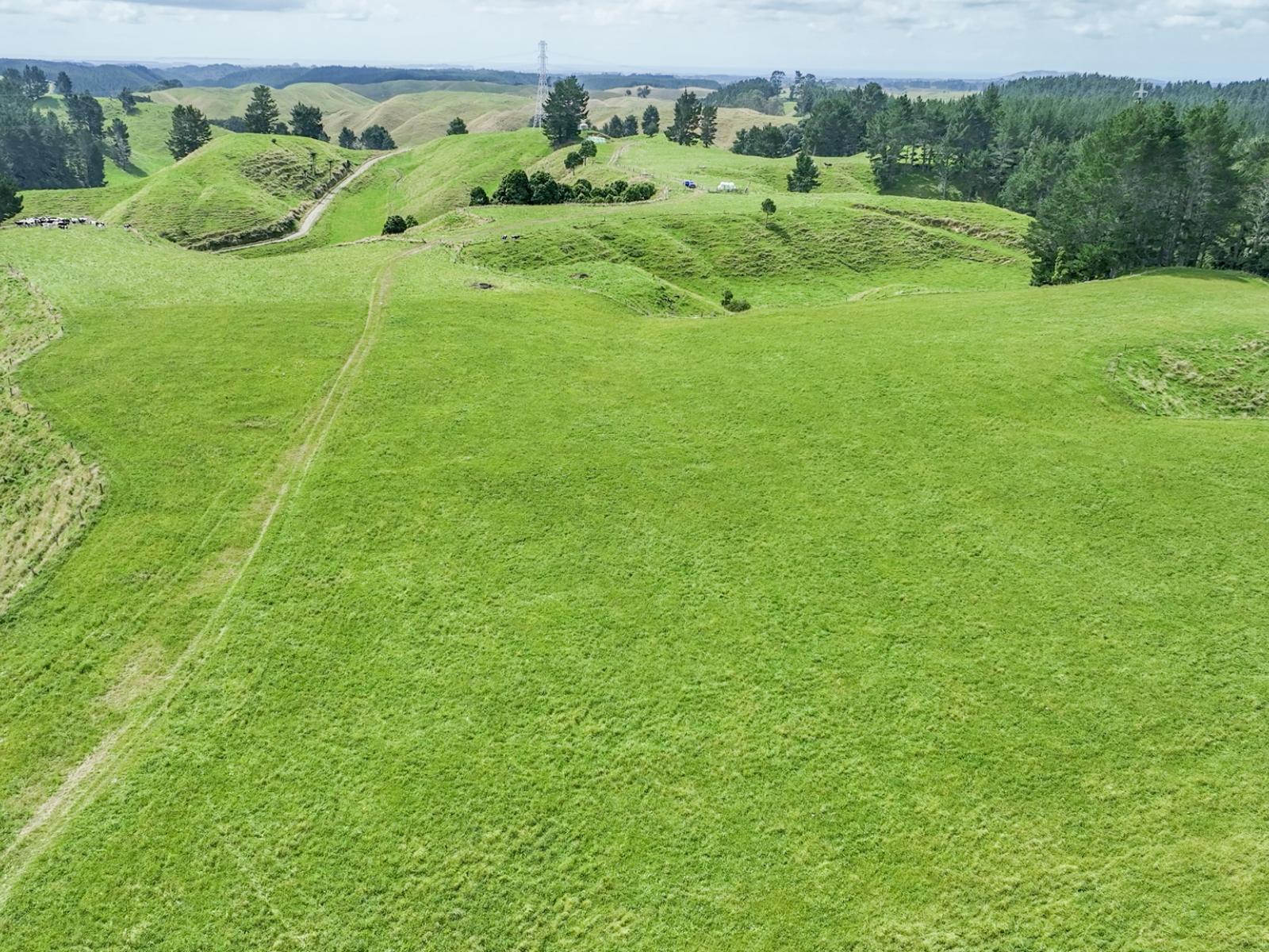 248 Lichenstein Road, Okere Falls