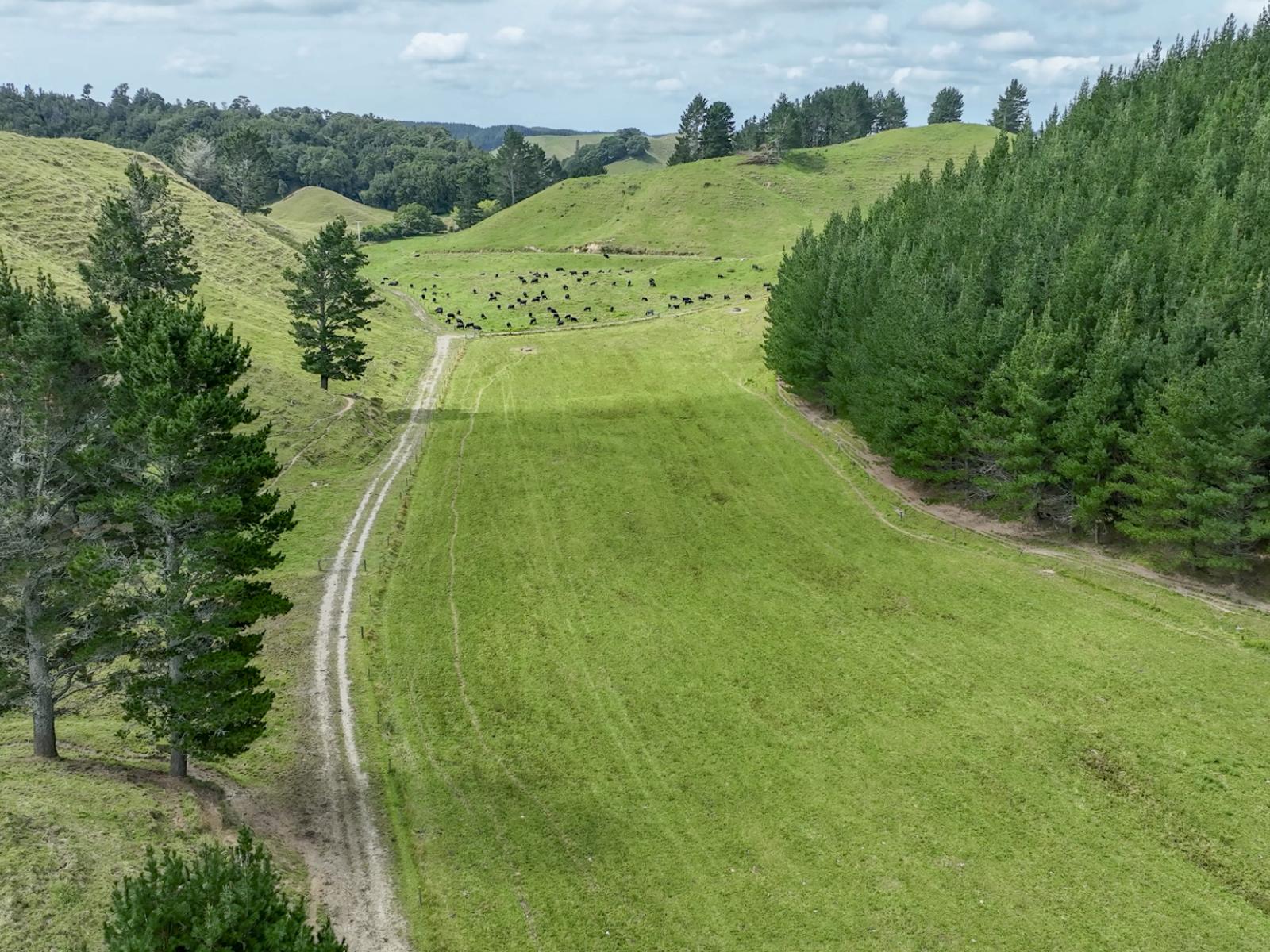 248 Lichenstein Road, Okere Falls