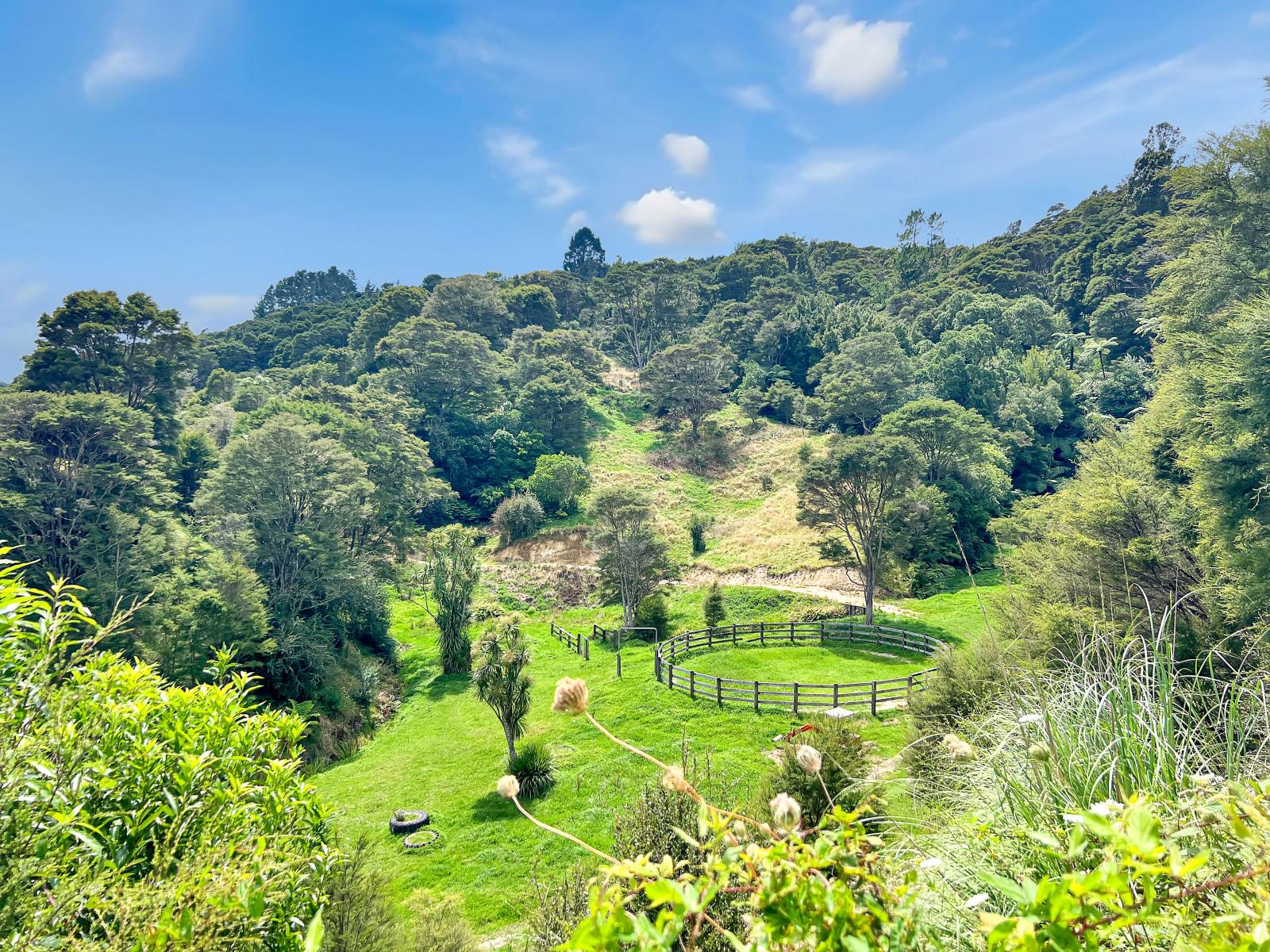 791B White Pine Bush Road, Awakeri