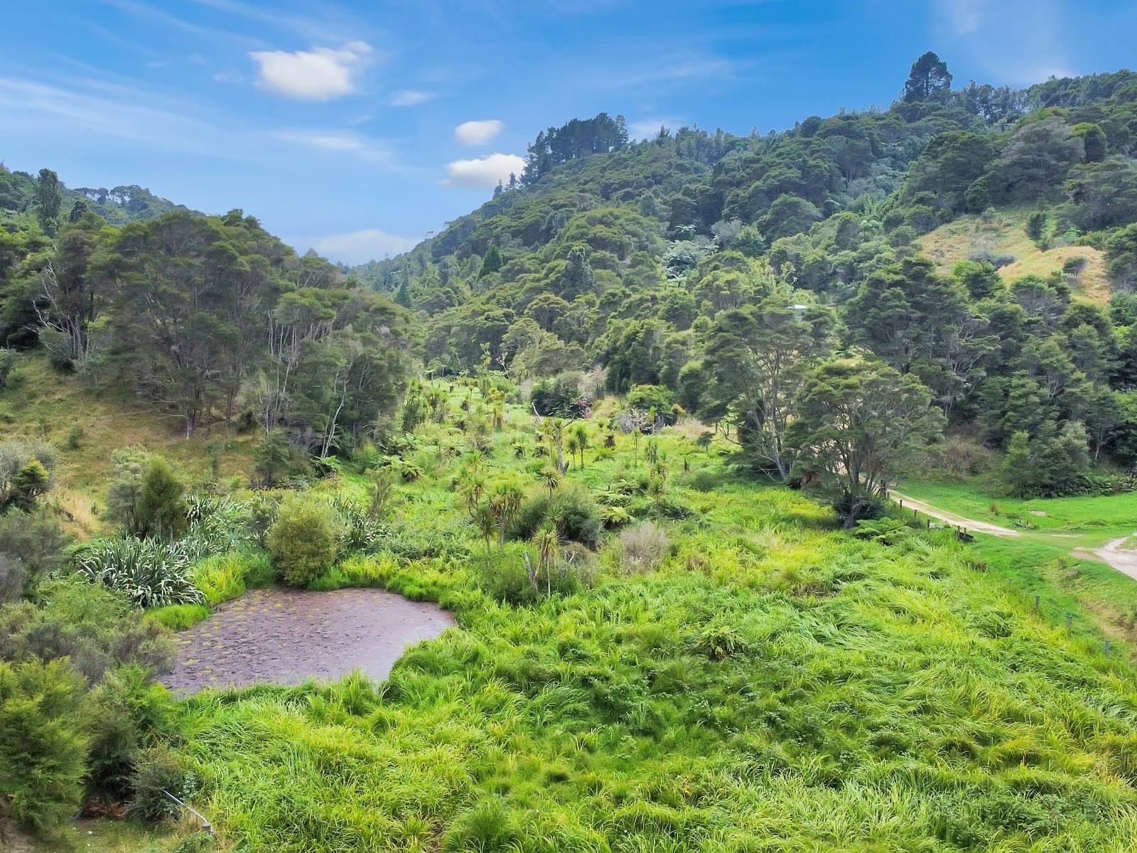 791B White Pine Bush Road, Awakeri