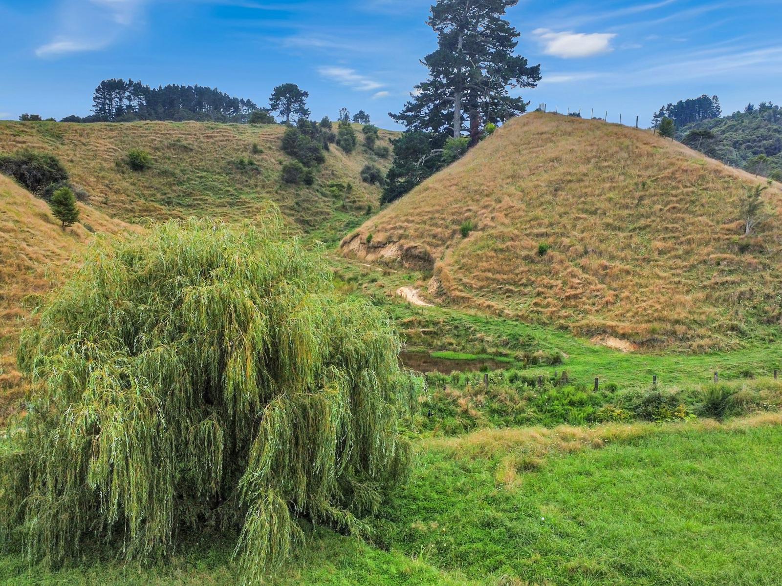 791B White Pine Bush Road, Awakeri