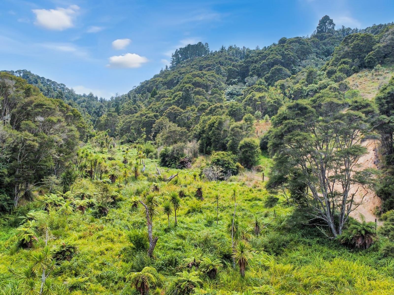 791B White Pine Bush Road, Awakeri