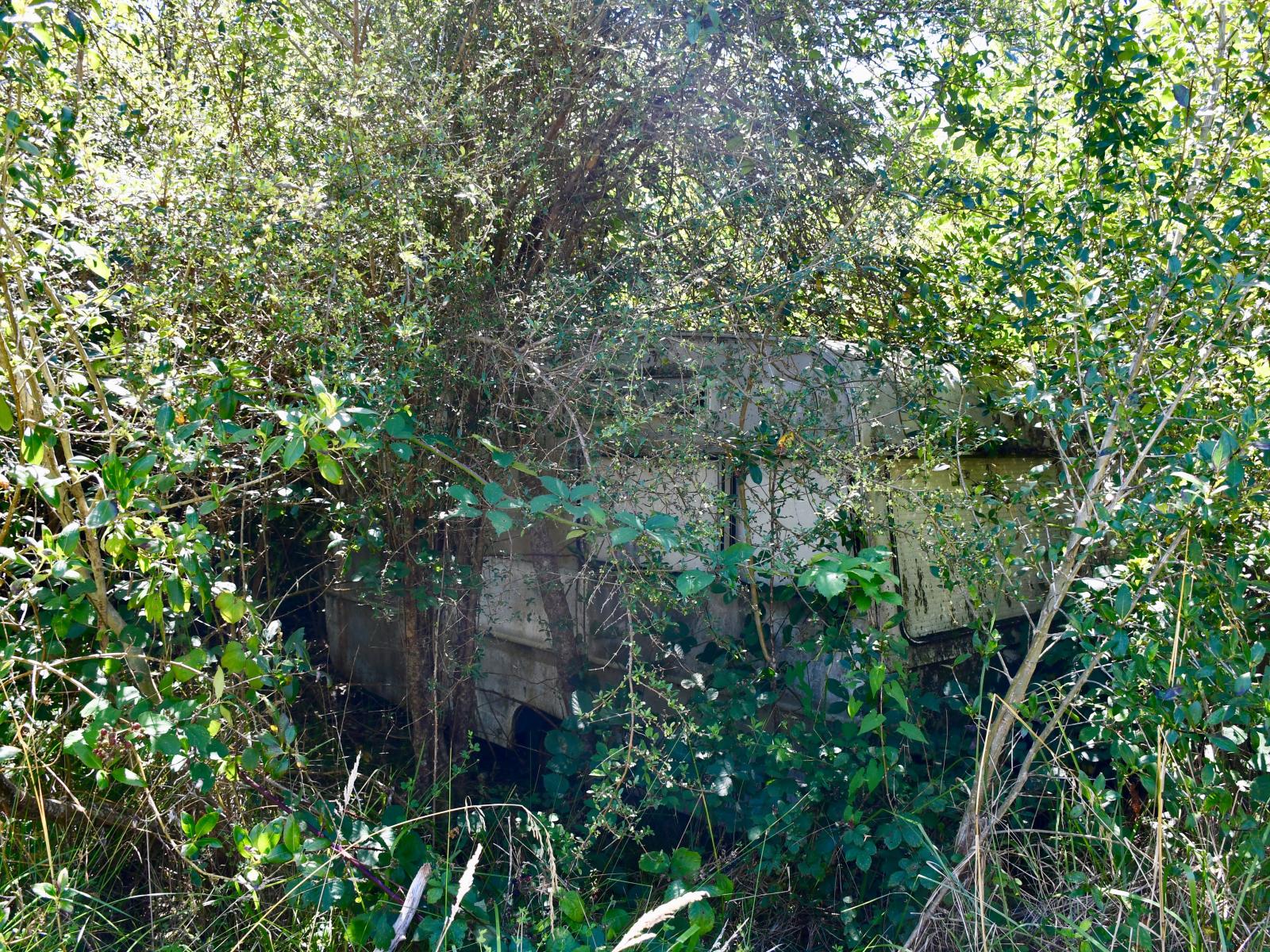 9 Nikau Heights, Little Wanganui