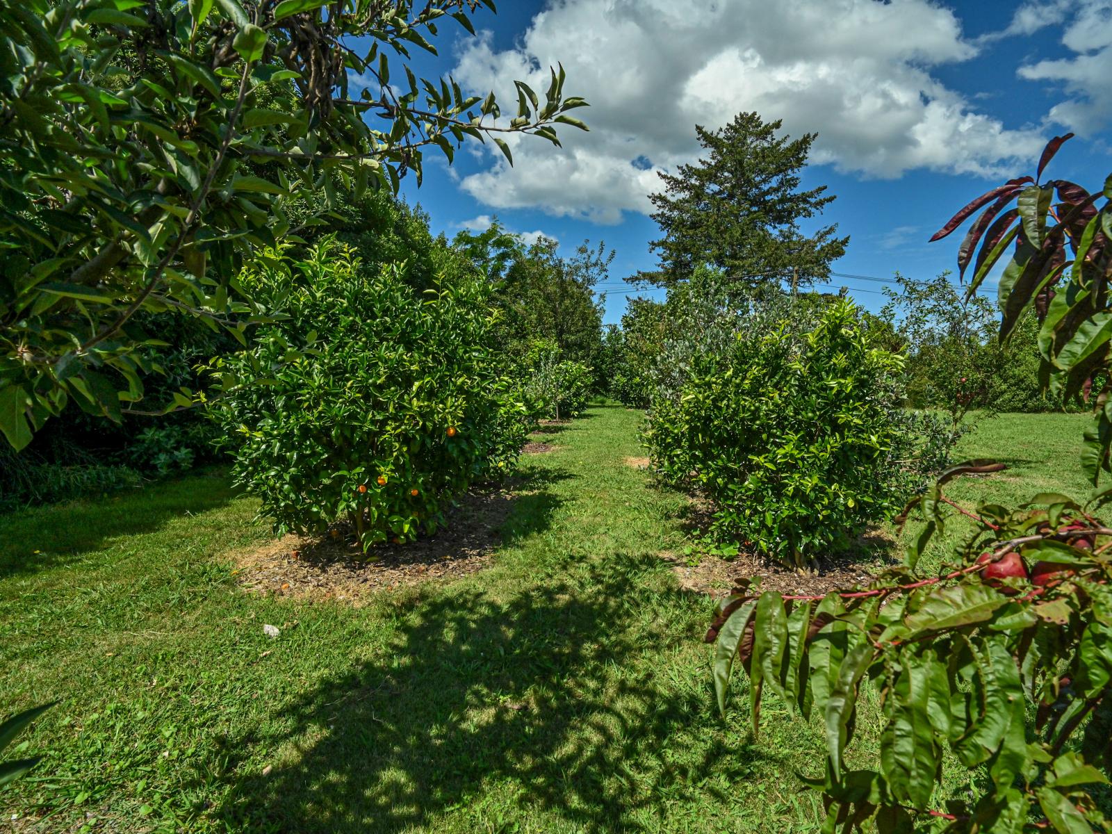 53 Taihape Road, Omahu