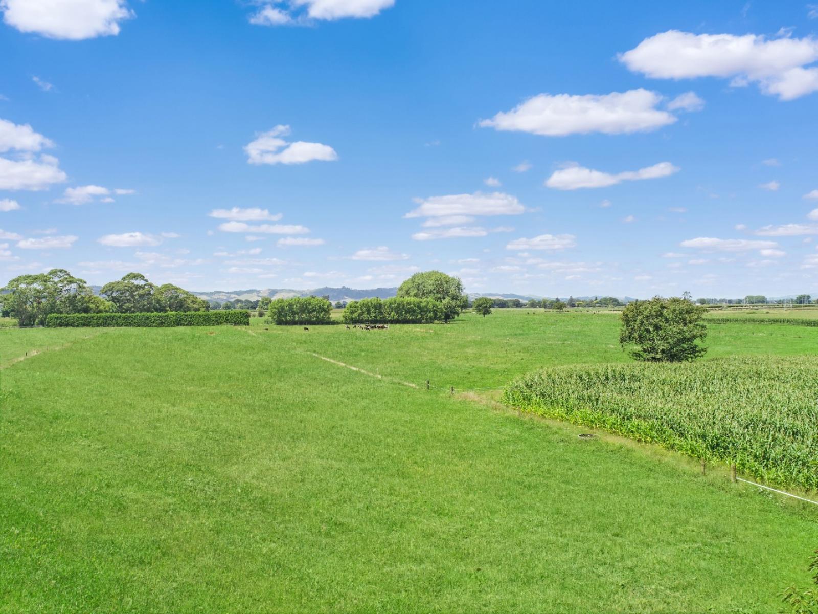 89 Church Road, Cambridge
