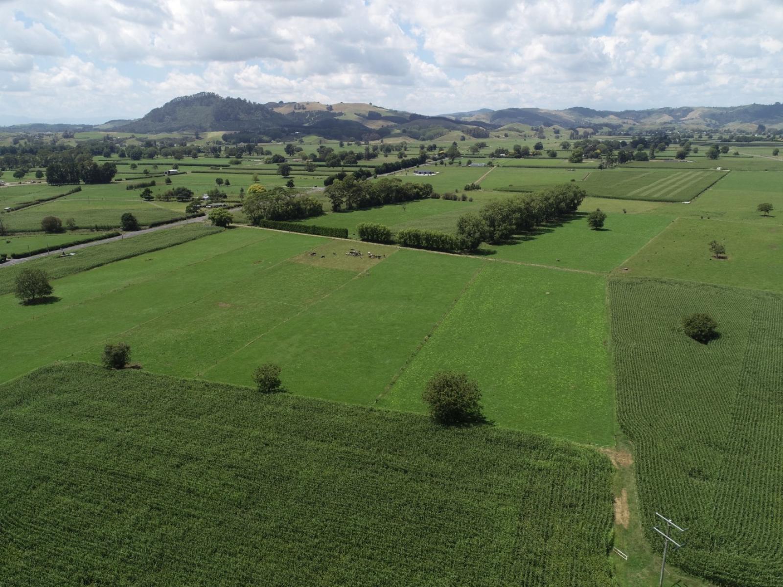 89 Church Road, Cambridge