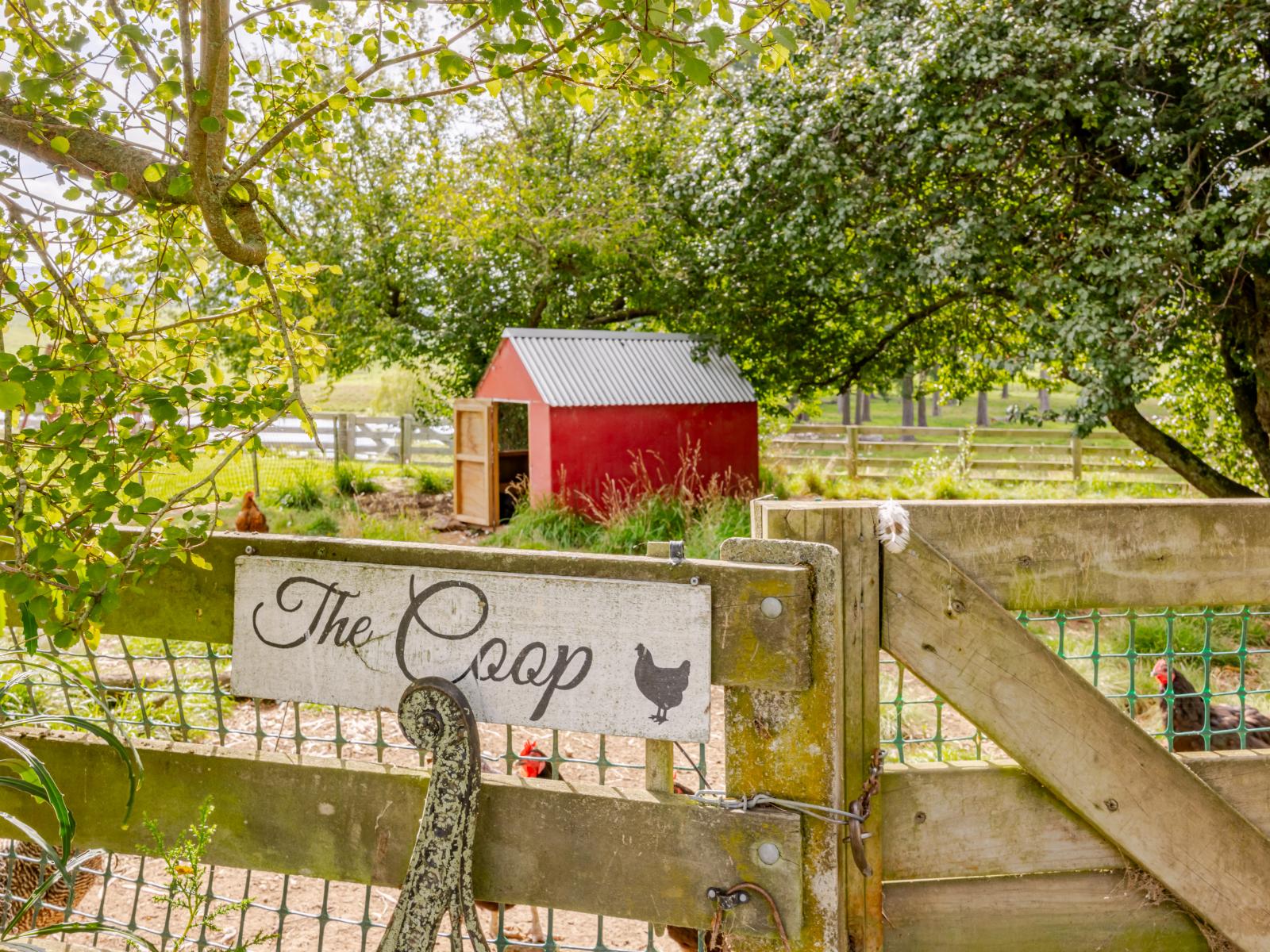 1490 Elsthorpe Road, Patangata, Elsthorpe